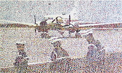 cornwallis