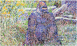 gorilla